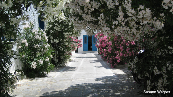 Tinos Pirgos 4